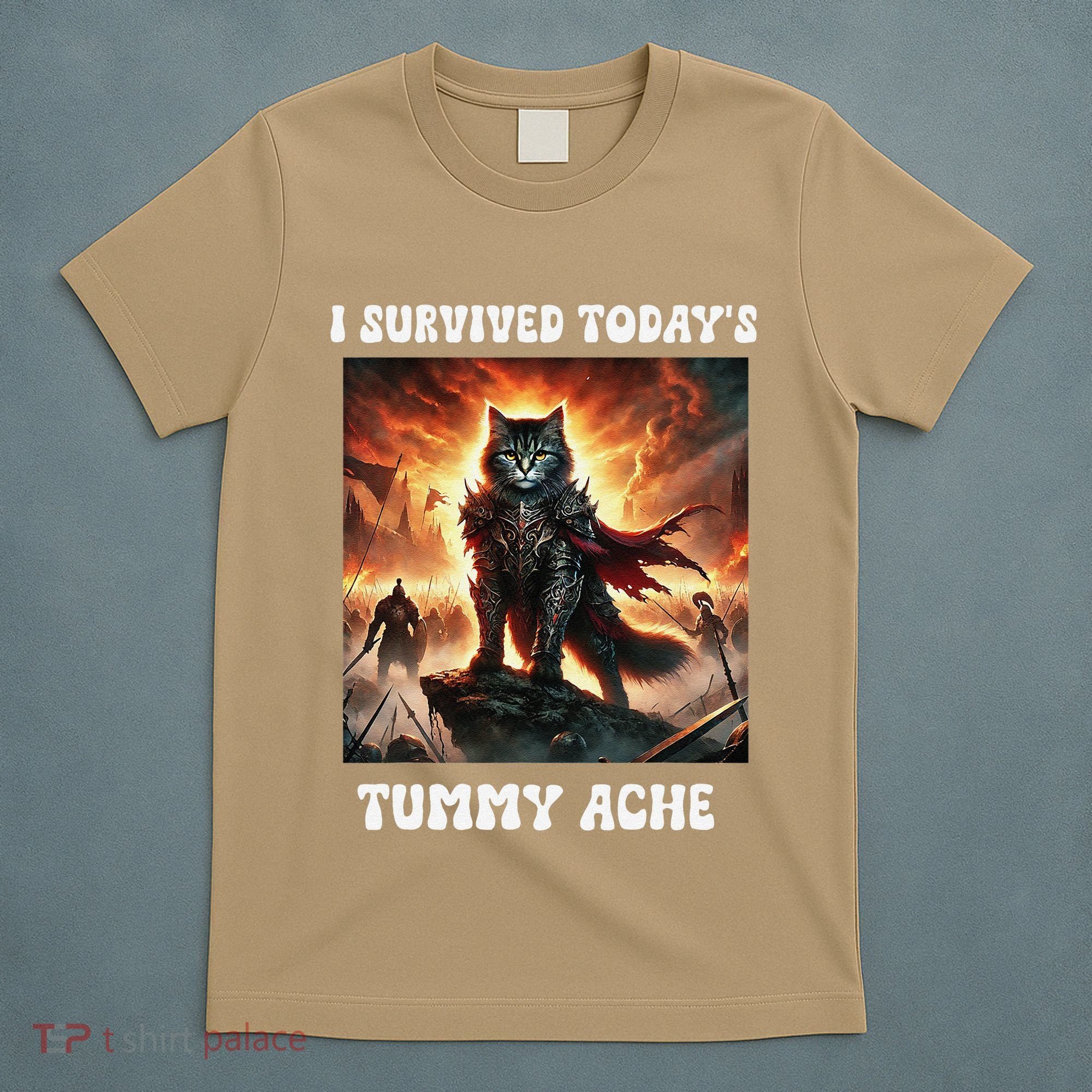 I Survived TodayS Tummy Ache Groovy Funny Cat T-Shirt