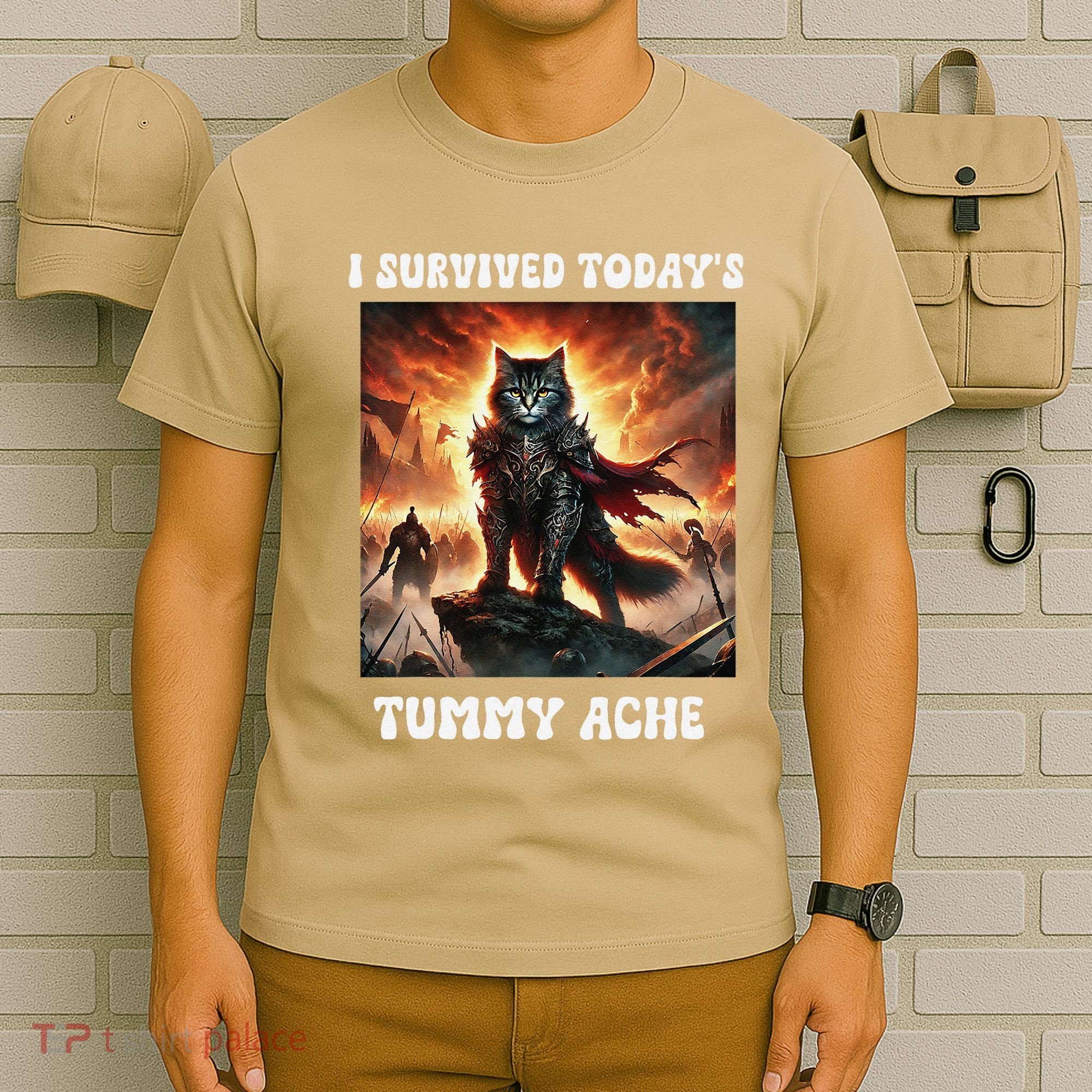 I Survived TodayS Tummy Ache Groovy Funny Cat T-Shirt