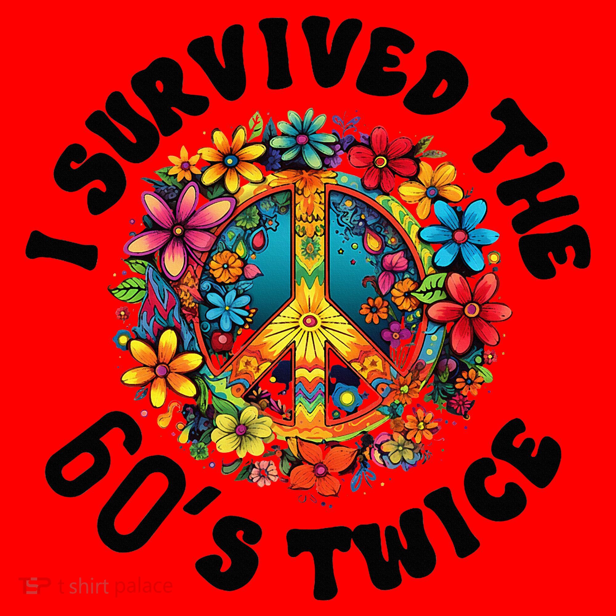 I Survived The 60s Sixties Twice 70th Birthday 60th Funny Santa Hat