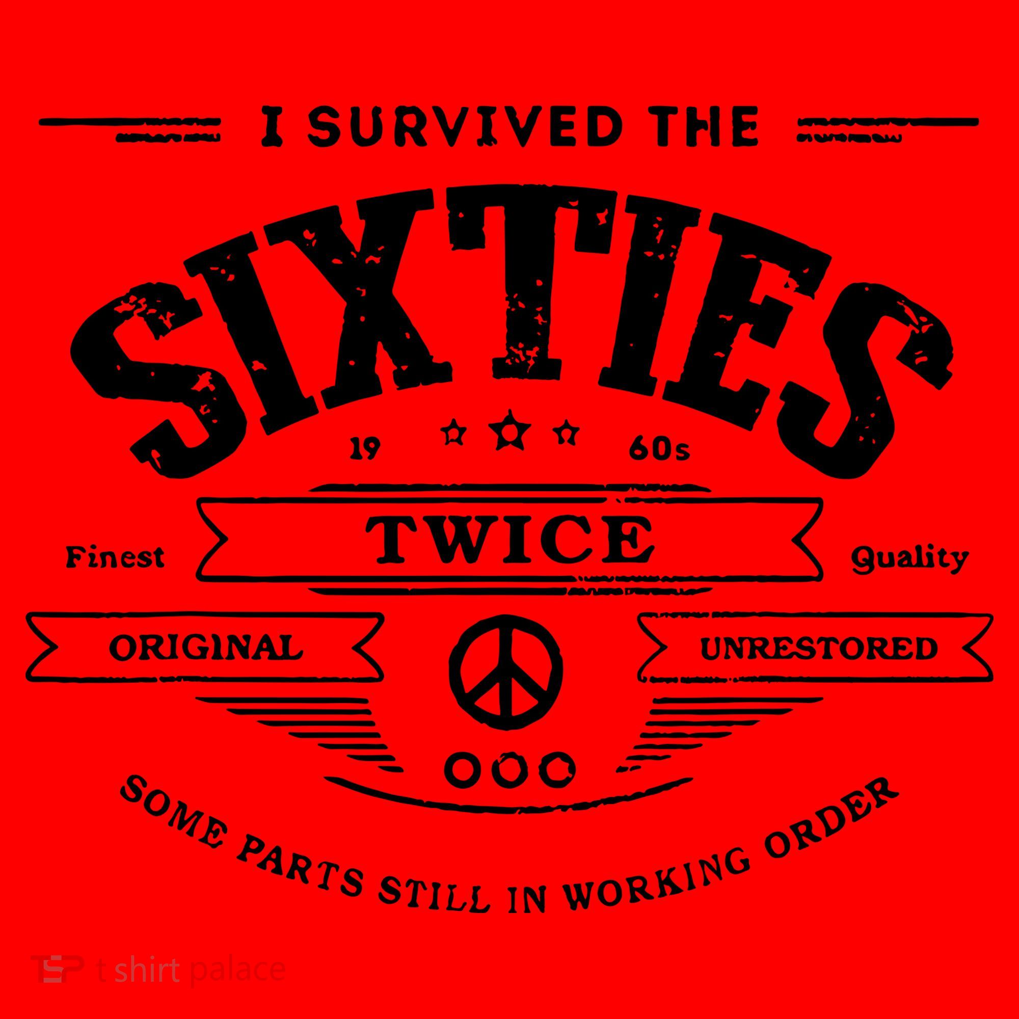 I Survived The Sixties Twice Built In 60s 70th 60th Birthday Santa Hat