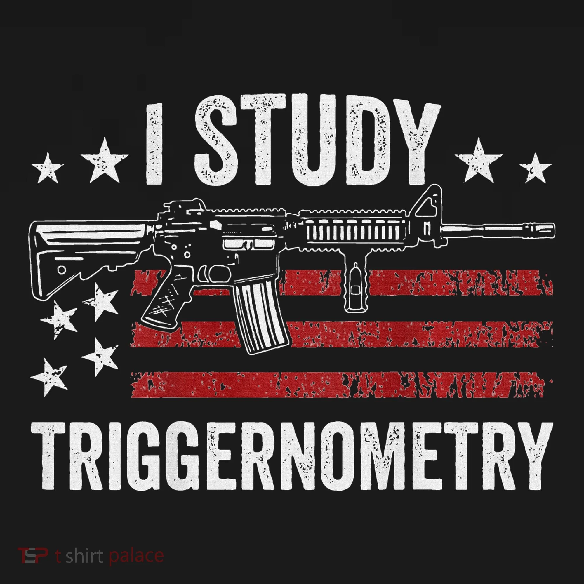 I Study Triggernometry Funny Gun Pro Guns Saying Ornament