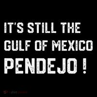 Its Still The Gulf Of Mexico Pendejo Coffee Mug thumb 5