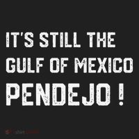 Its Still The Gulf Of Mexico Pendejo Beanie thumb 2