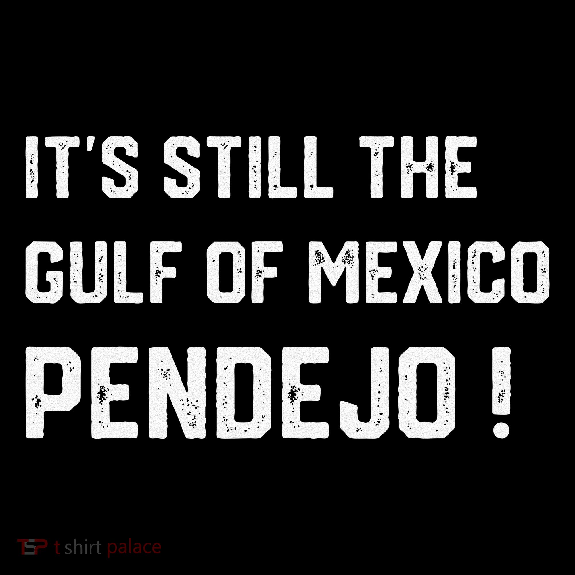 Its Still The Gulf Of Mexico Pendejo Pajama Set