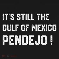 Its Still The Gulf Of Mexico Pendejo Women's Hoodie thumb 2