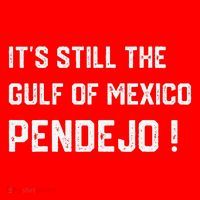 Its Still The Gulf Of Mexico Pendejo Santa Hat thumb 1