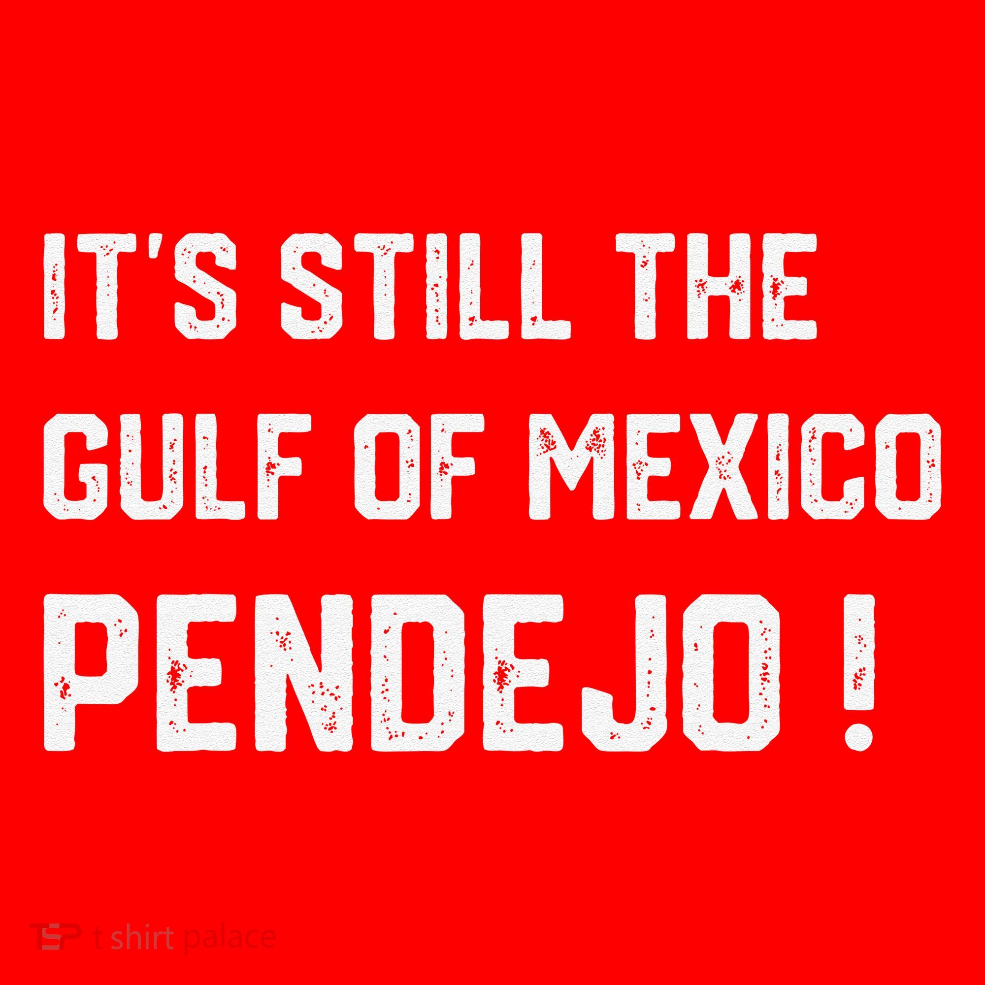 Its Still The Gulf Of Mexico Pendejo Santa Hat