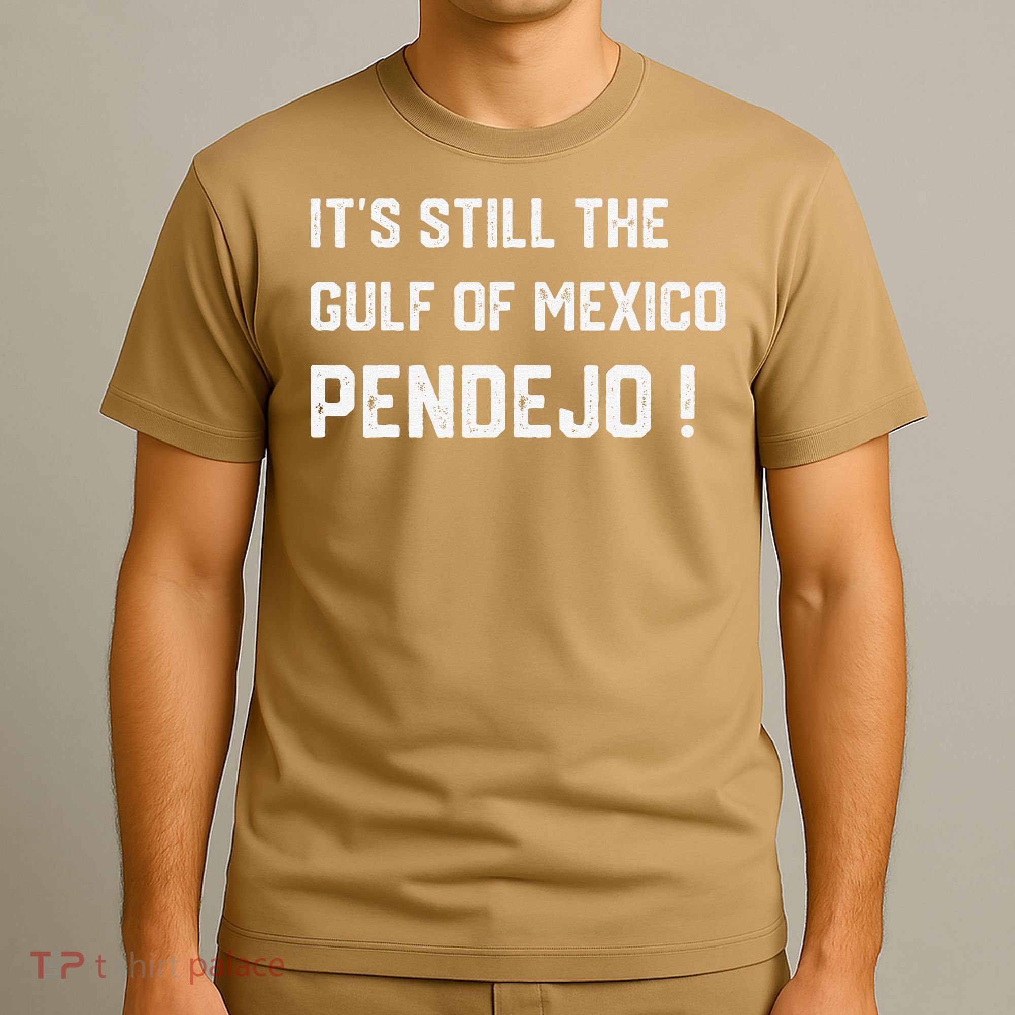 Its Still The Gulf Of Mexico Pendejo T-Shirt
