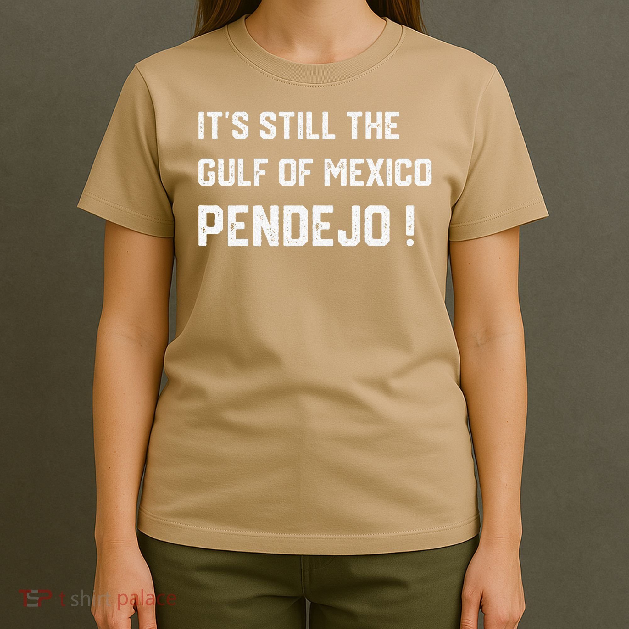 Its Still The Gulf Of Mexico Pendejo T-Shirt