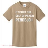 Its Still The Gulf Of Mexico Pendejo Kids T-Shirt thumb 0