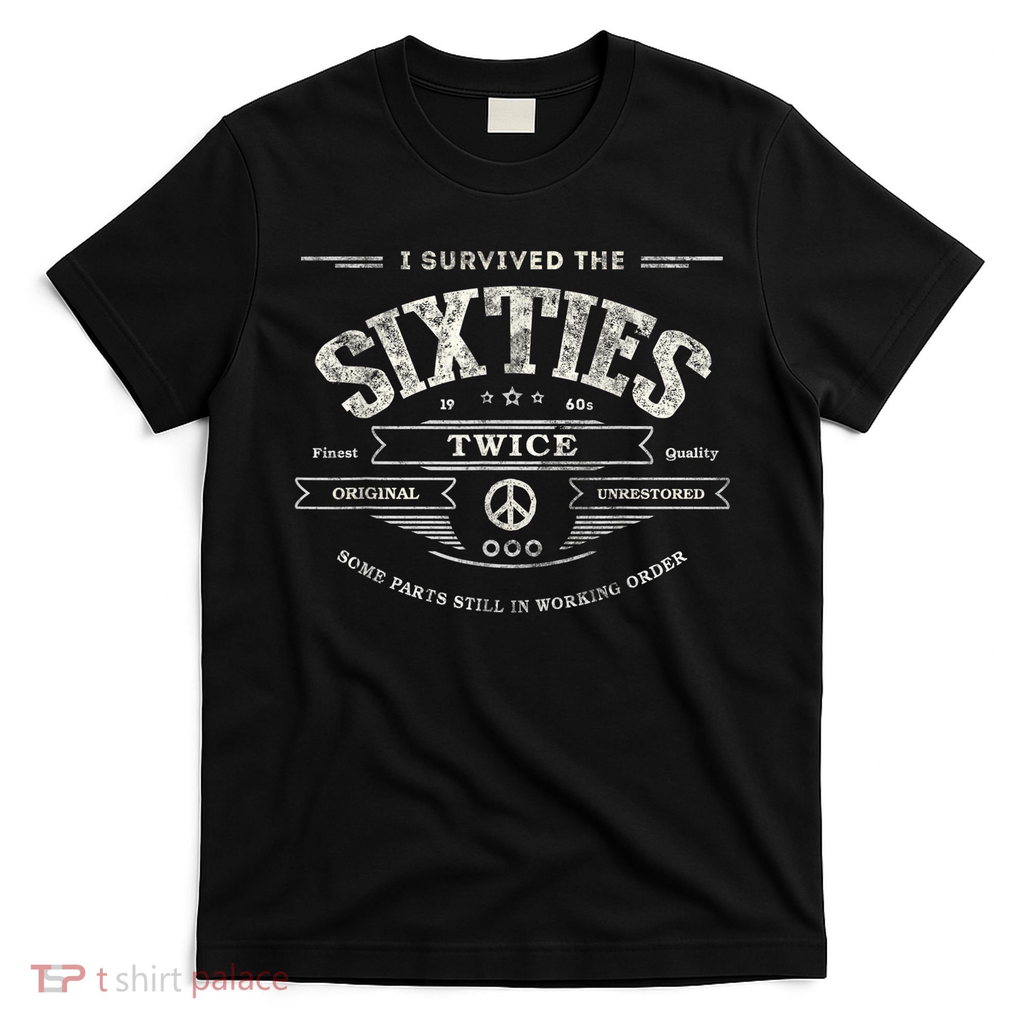 I SURVIVED The SIXTIES TWICE Built In 60s 70th 60th Birthday T-Shirt