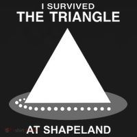 I Survived The Triangle At Shapeland USA-Made Doggie Bandana thumb 2