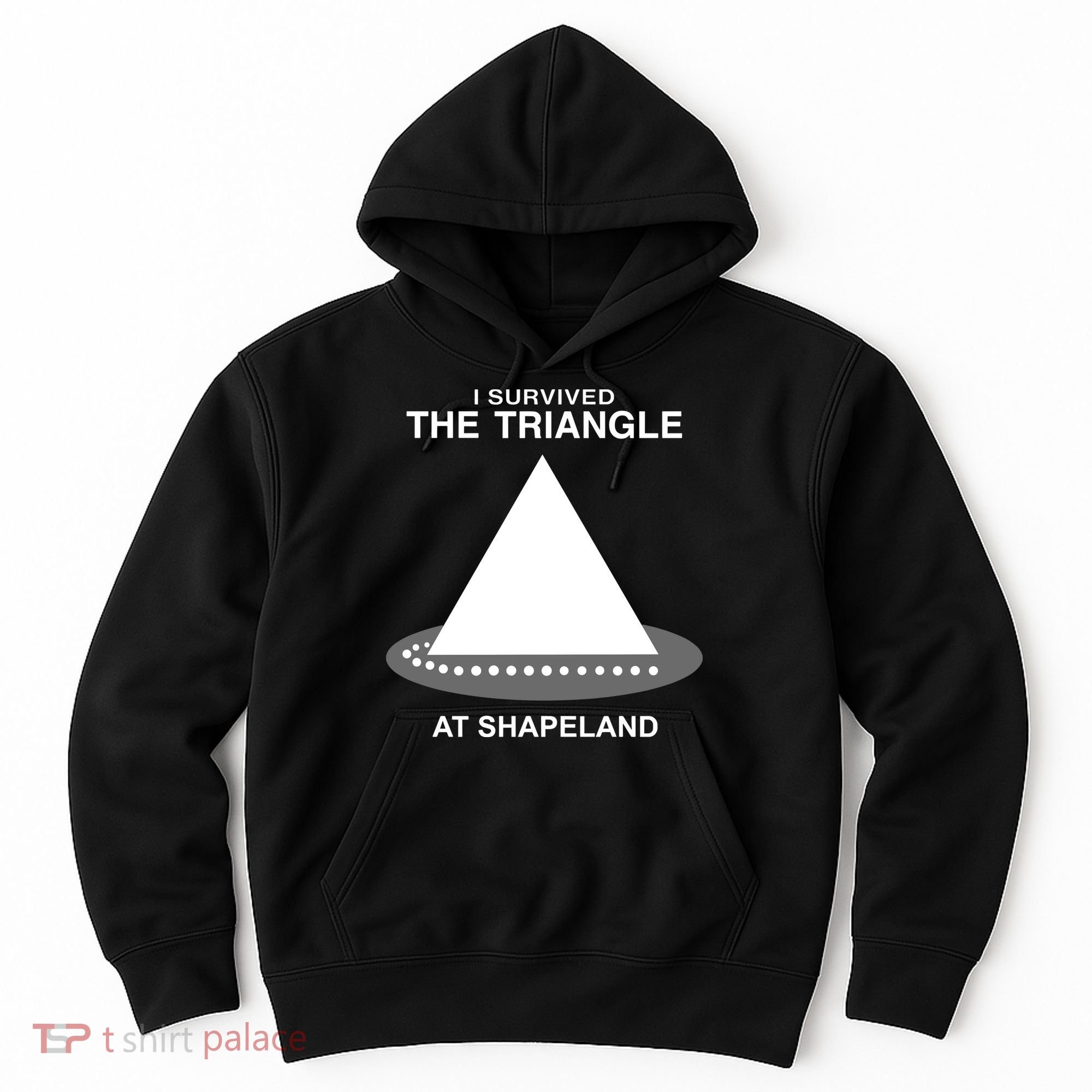 I Survived The Triangle At Shapeland Hoodie