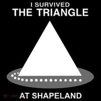 I Survived The Triangle At Shapeland Hoodie thumb 7