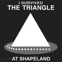 I Survived The Triangle At Shapeland Tumbler thumb 3