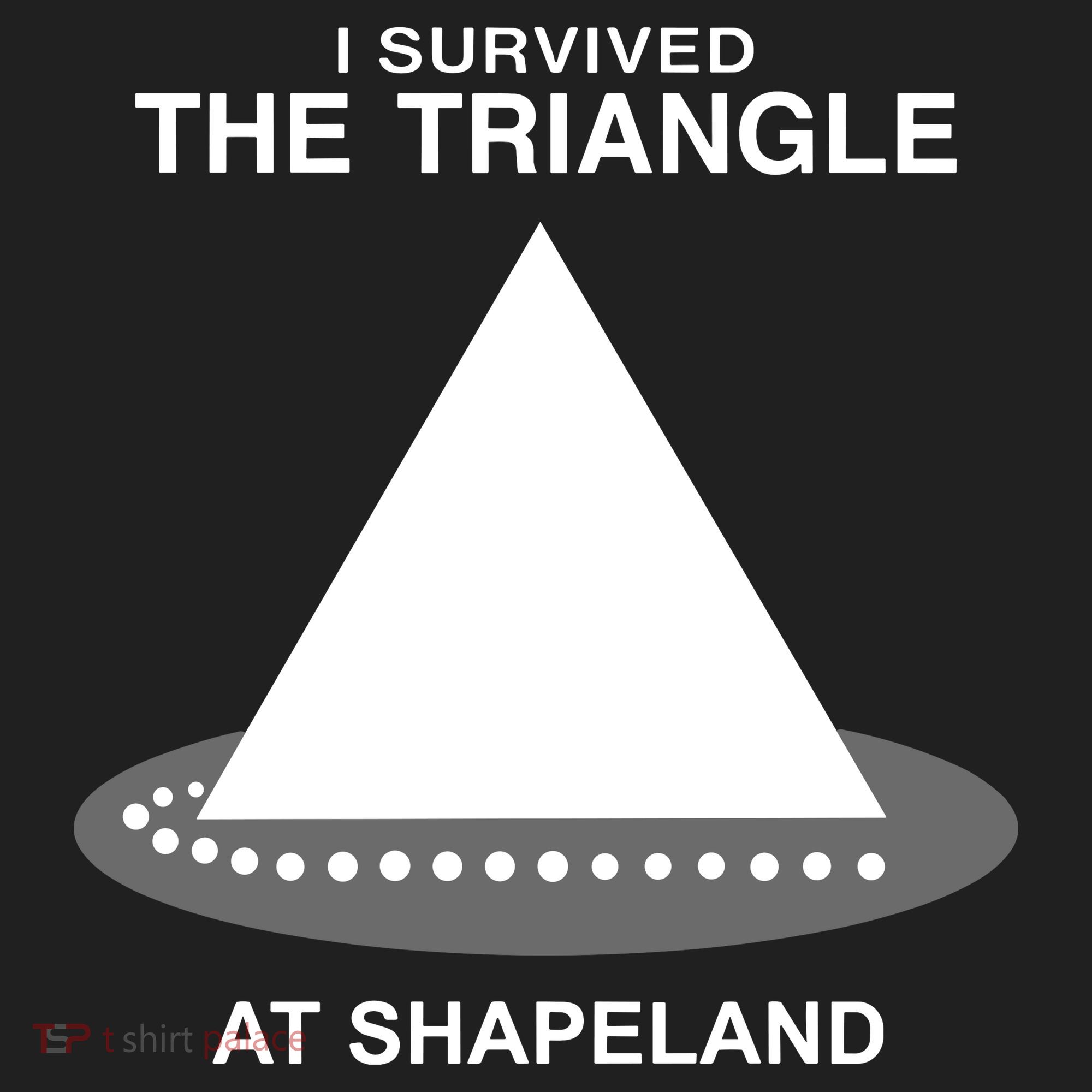 I Survived The Triangle At Shapeland Hat