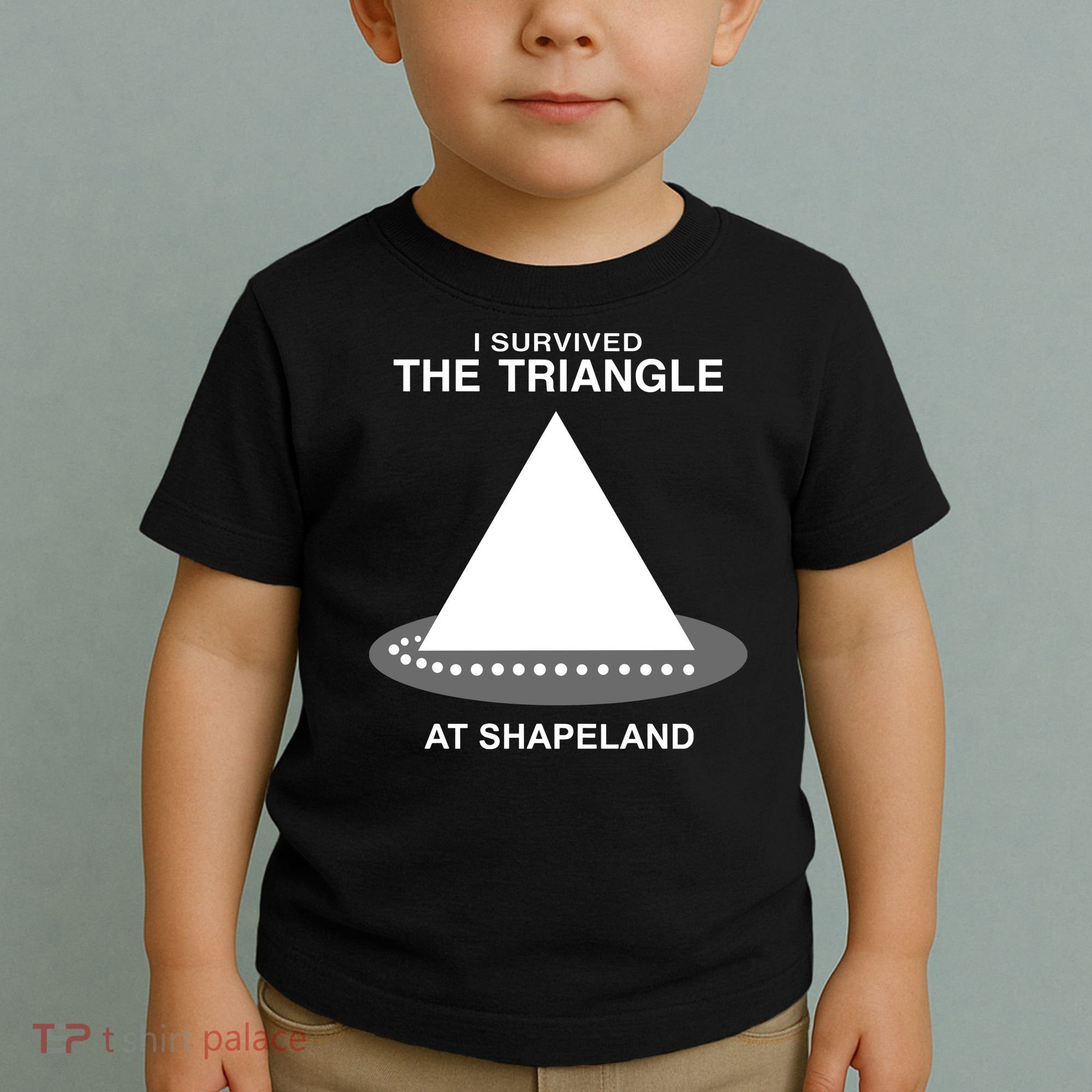 I Survived The Triangle At Shapeland Toddler T-Shirt