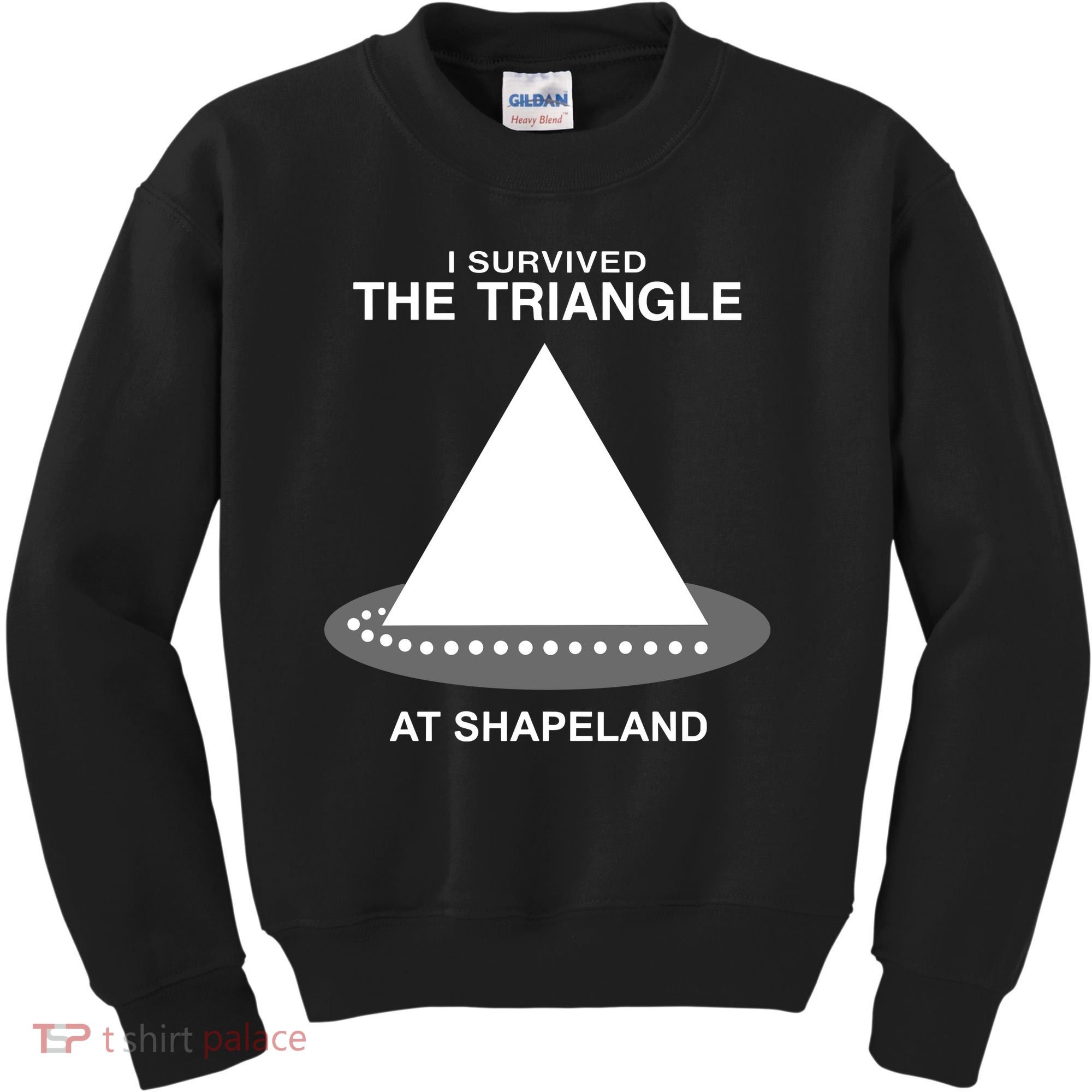 I Survived The Triangle At Shapeland Kids Sweatshirt