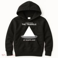 I Survived The Triangle At Shapeland Kids Hoodie thumb 0