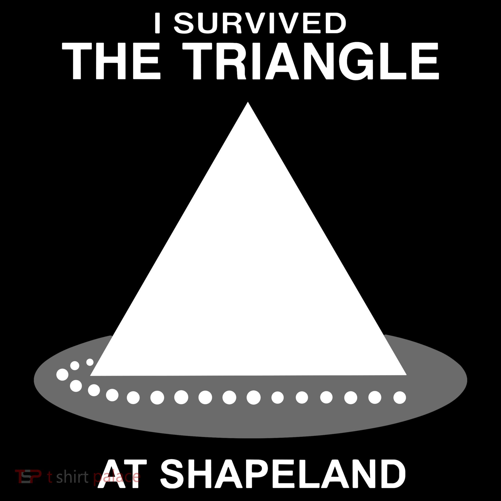 I Survived The Triangle At Shapeland Kids T-Shirt
