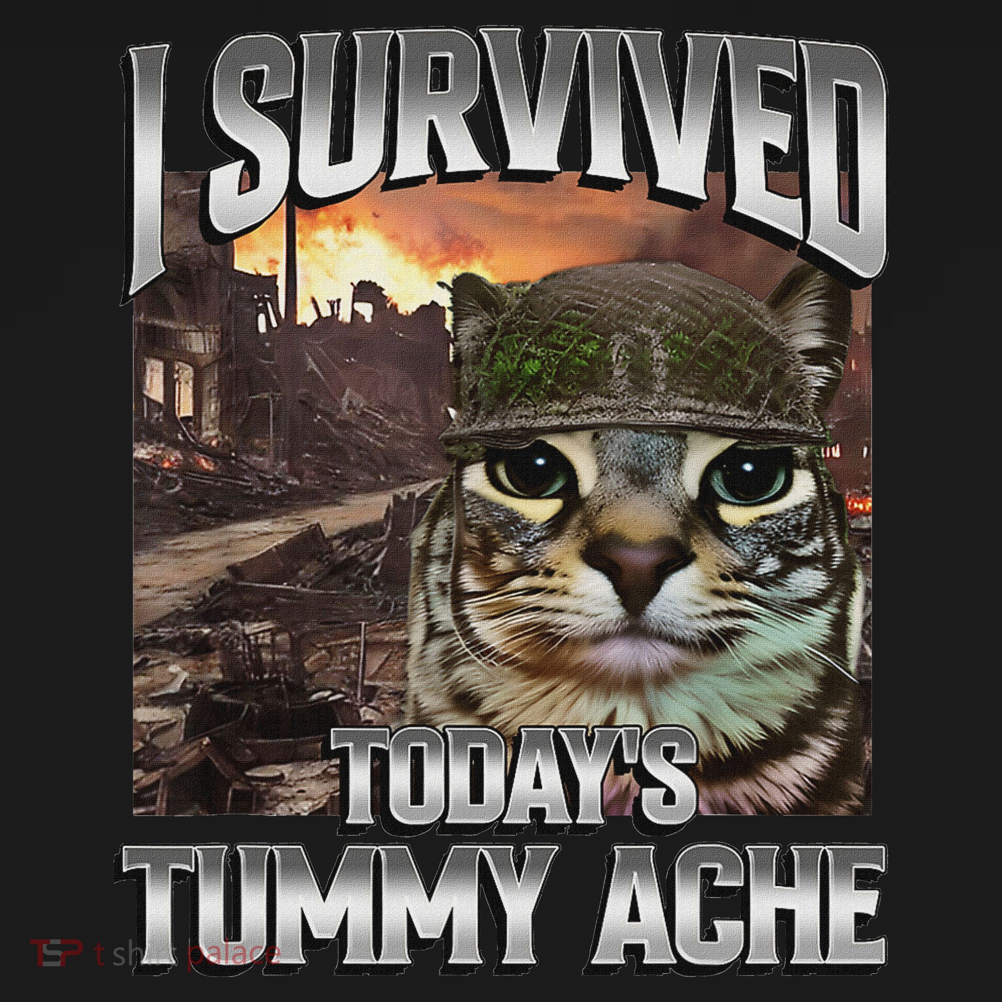 I Survived TodayS Tummy Ache Groovy Funny Cat Apron