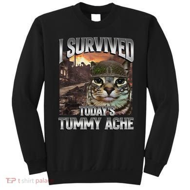 I Survived TodayS Tummy Ache Groovy Funny Cat Sweatshirt