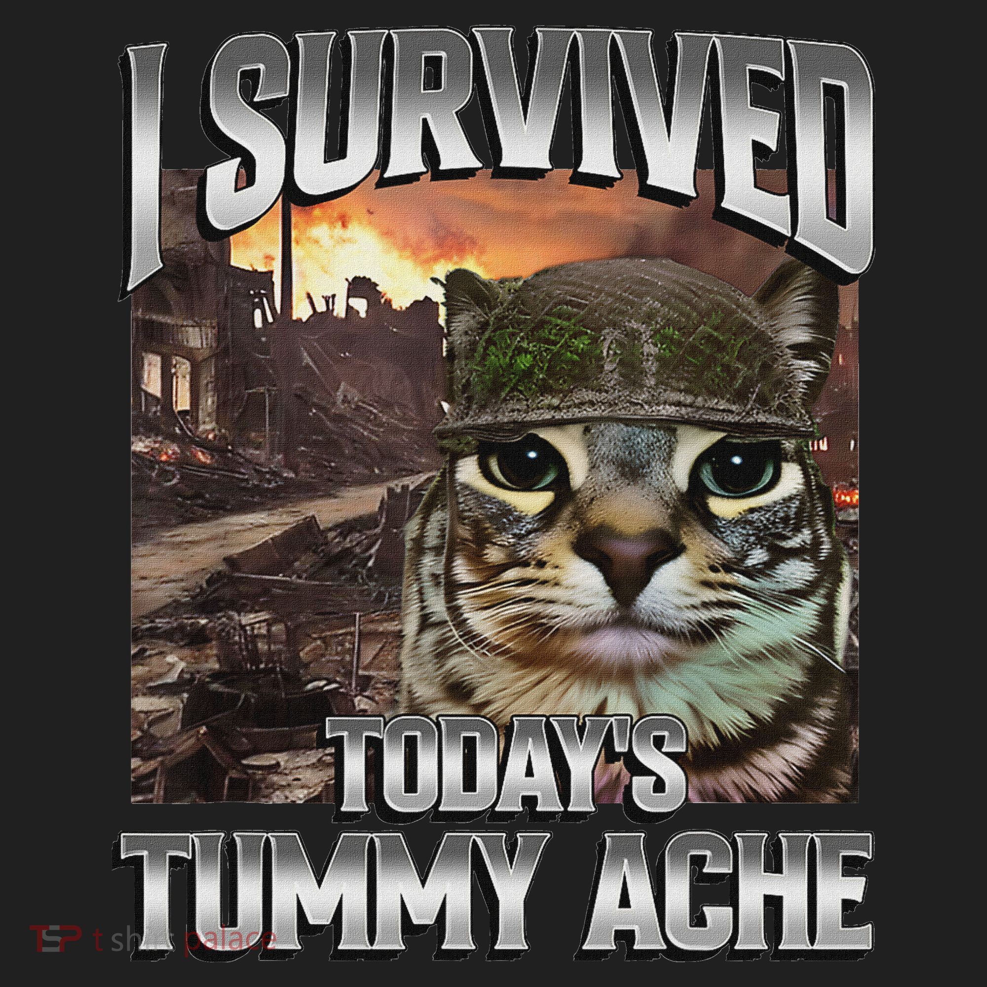 I Survived TodayS Tummy Ache Groovy Funny Cat Beanie