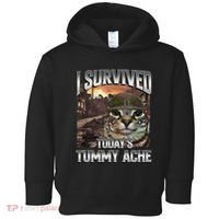 I Survived TodayS Tummy Ache Groovy Funny Cat Toddler Hoodie thumb 0