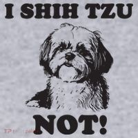 I SHIH TZU NOT Funny Shih Tzu Dog Women's Sweatshirt thumb 2