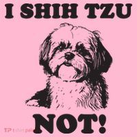 I SHIH TZU NOT Funny Shih Tzu Dog Coaster thumb 2