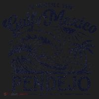 Its Still The Gulf Of Mexico Pendejo Beach Funny Spanish Beanie thumb 2