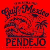Its Still The Gulf Of Mexico Pendejo Beach Funny Spanish Santa Hat thumb 1
