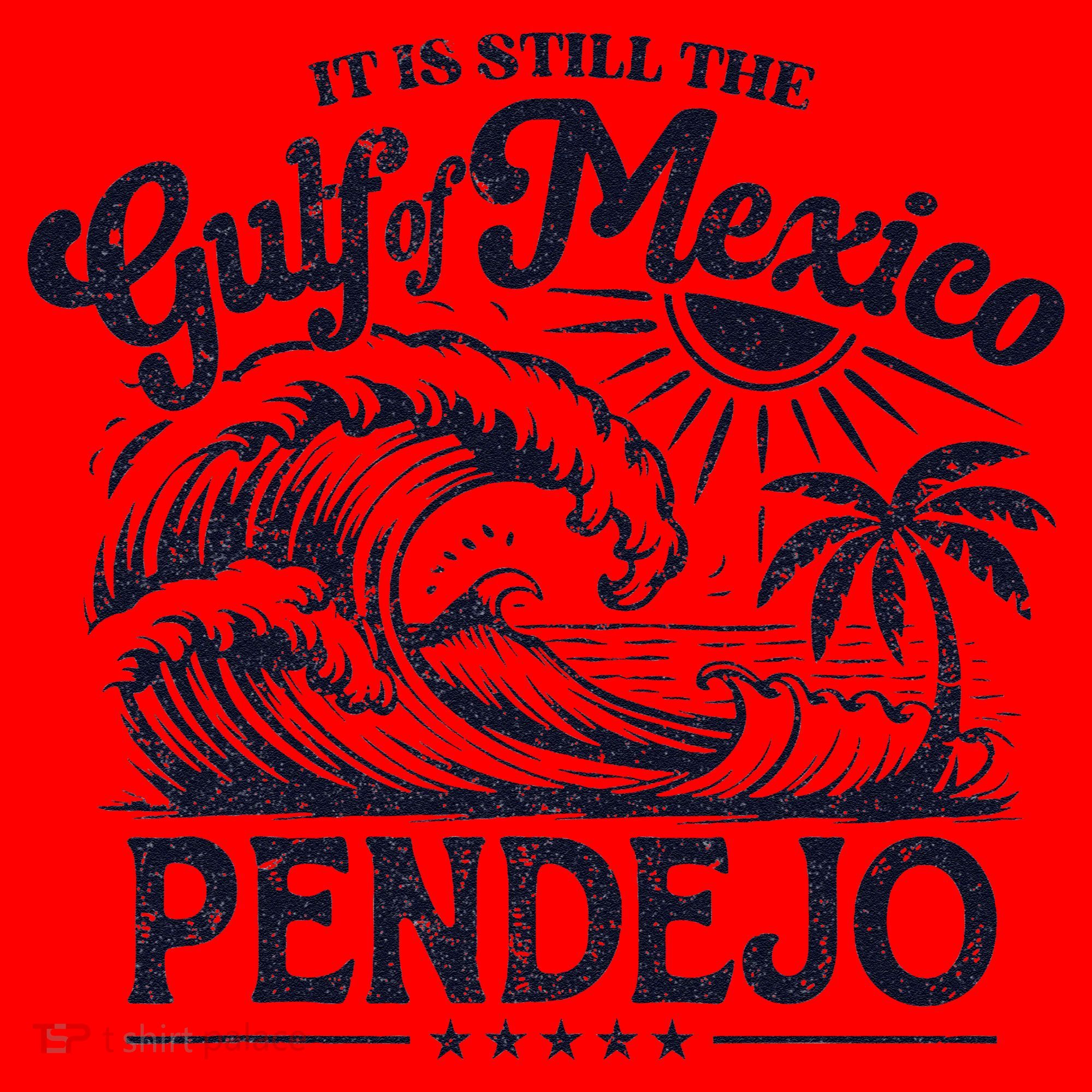 Its Still The Gulf Of Mexico Pendejo Beach Funny Spanish Santa Hat