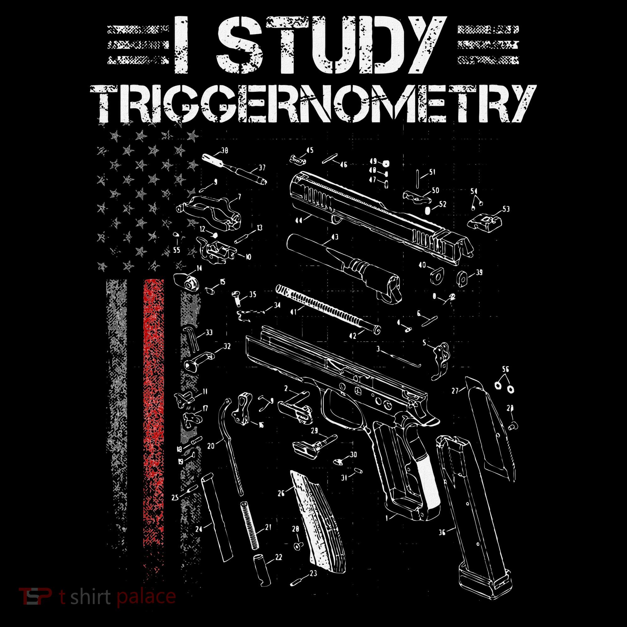 I Study Triggernometry Gun Veteran Christmas Women's Hoodie