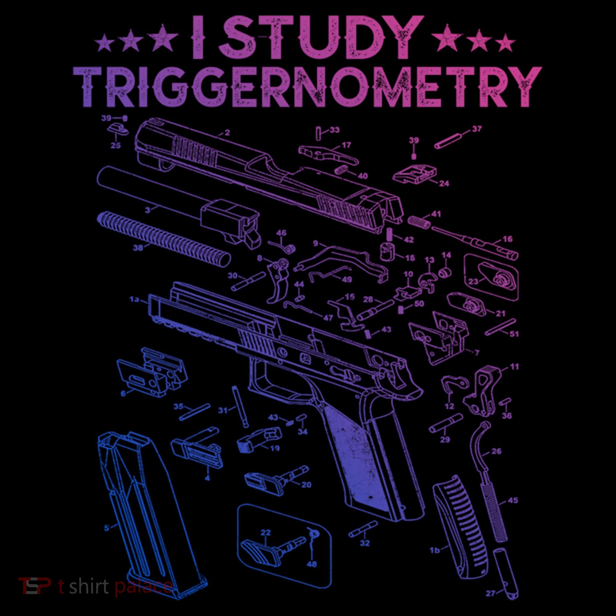 I Study Triggernometry Gun Funny Gift Veteran Christmas Gift Coffee Mug