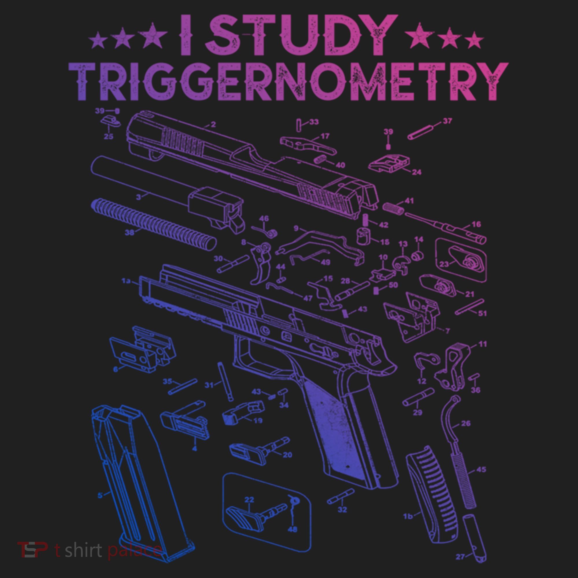 I Study Triggernometry Gun Funny Gift Veteran Christmas Gift Beanie