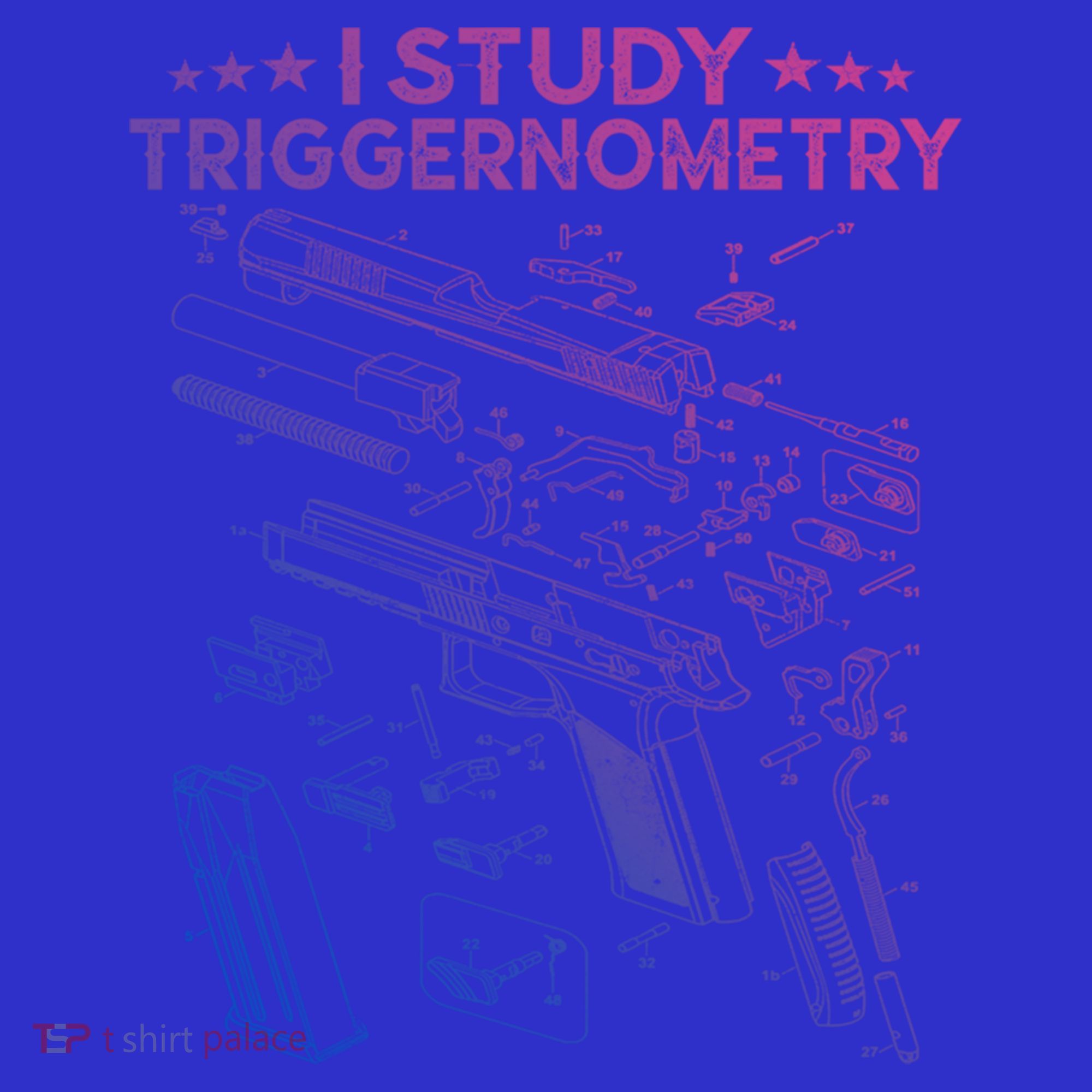 I Study Triggernometry Gun Funny Gift Veteran Christmas Gift Hoodie