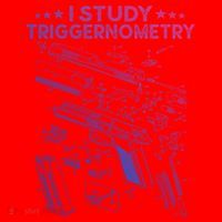 I Study Triggernometry Gun Funny Gift Veteran Christmas Gift Santa Hat thumb 1