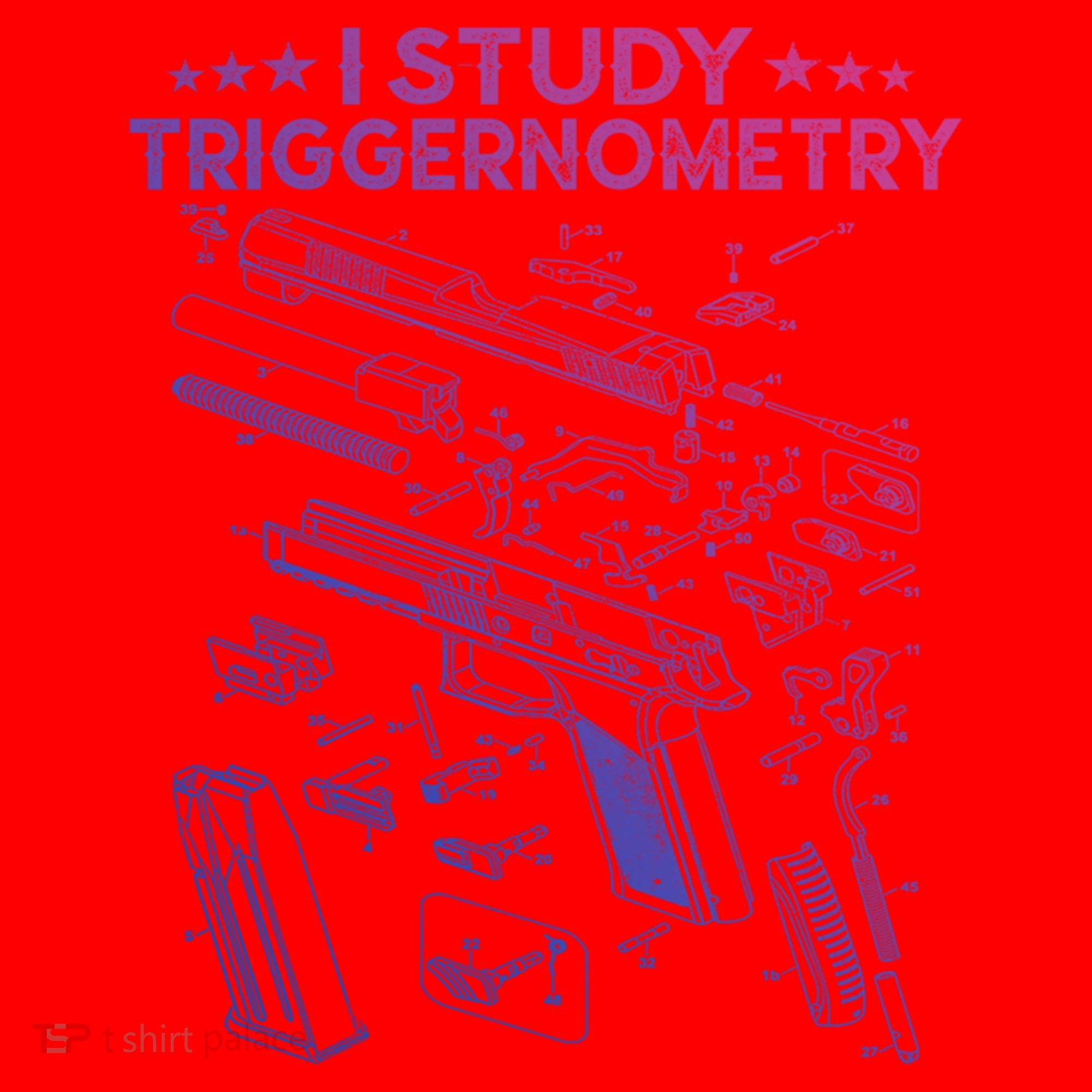 I Study Triggernometry Gun Funny Gift Veteran Christmas Gift Santa Hat