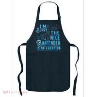 IM Sorry The Nice Bartender Is On Vacation Funny Apron thumb 0