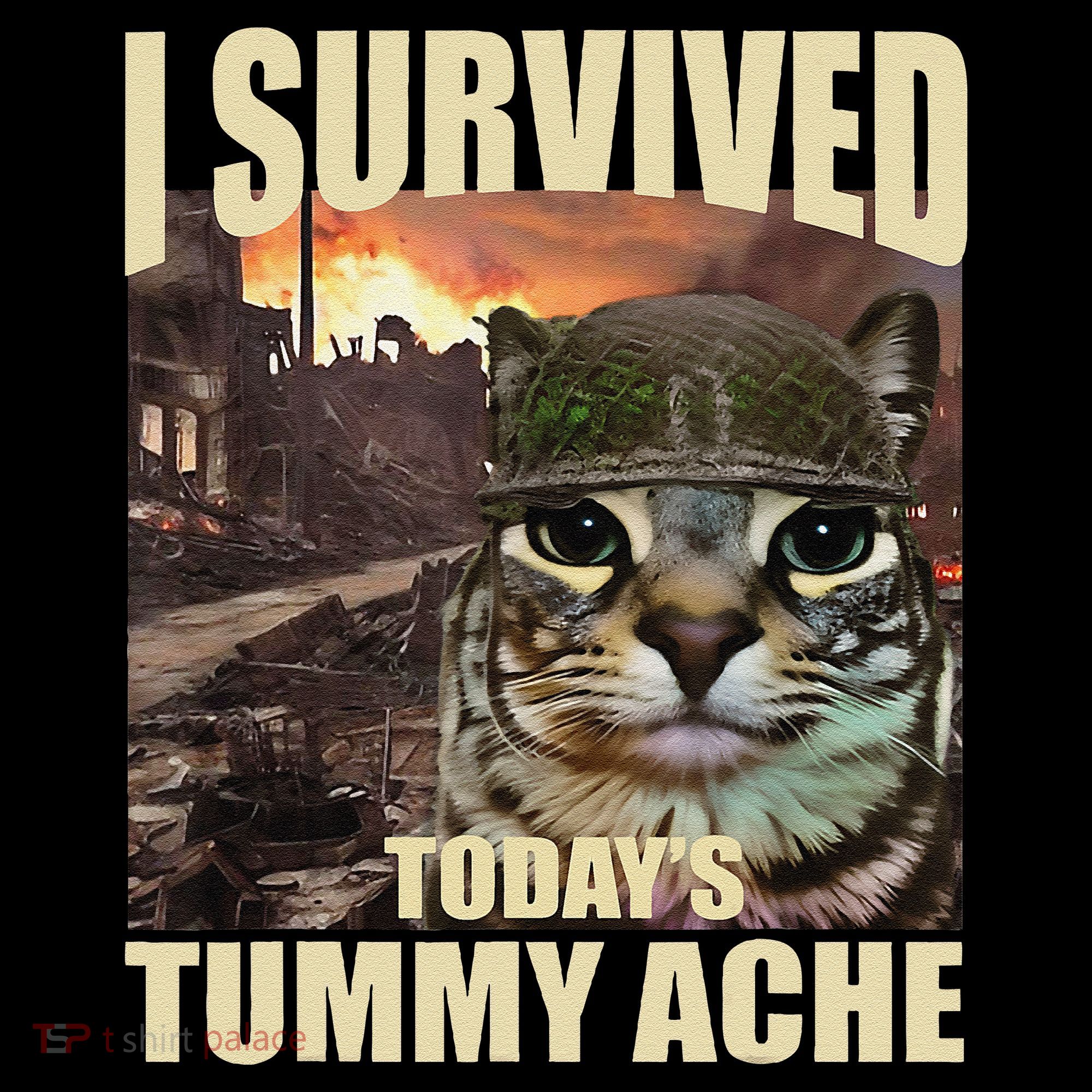 I Survived TodayS Tummy Ache Groovy Funny Cat Coffee Mug