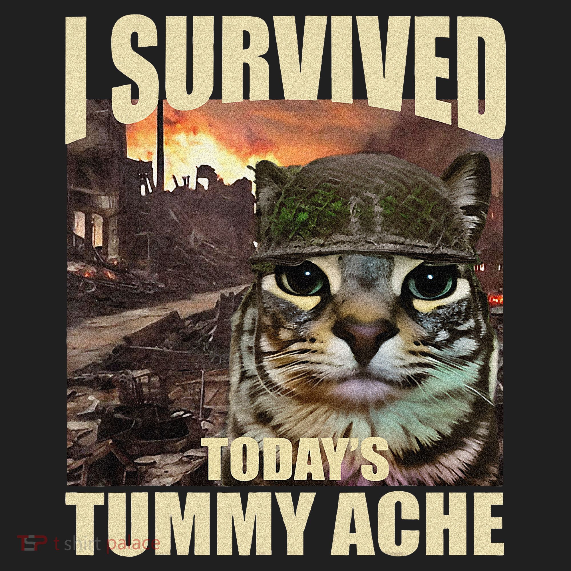 I Survived TodayS Tummy Ache Groovy Funny Cat Hat