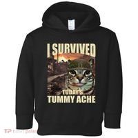 I Survived TodayS Tummy Ache Groovy Funny Cat Toddler Hoodie thumb 0