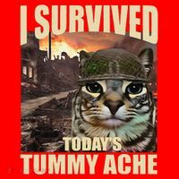 I Survived TodayS Tummy Ache Groovy Funny Cat Santa Hat thumb 1
