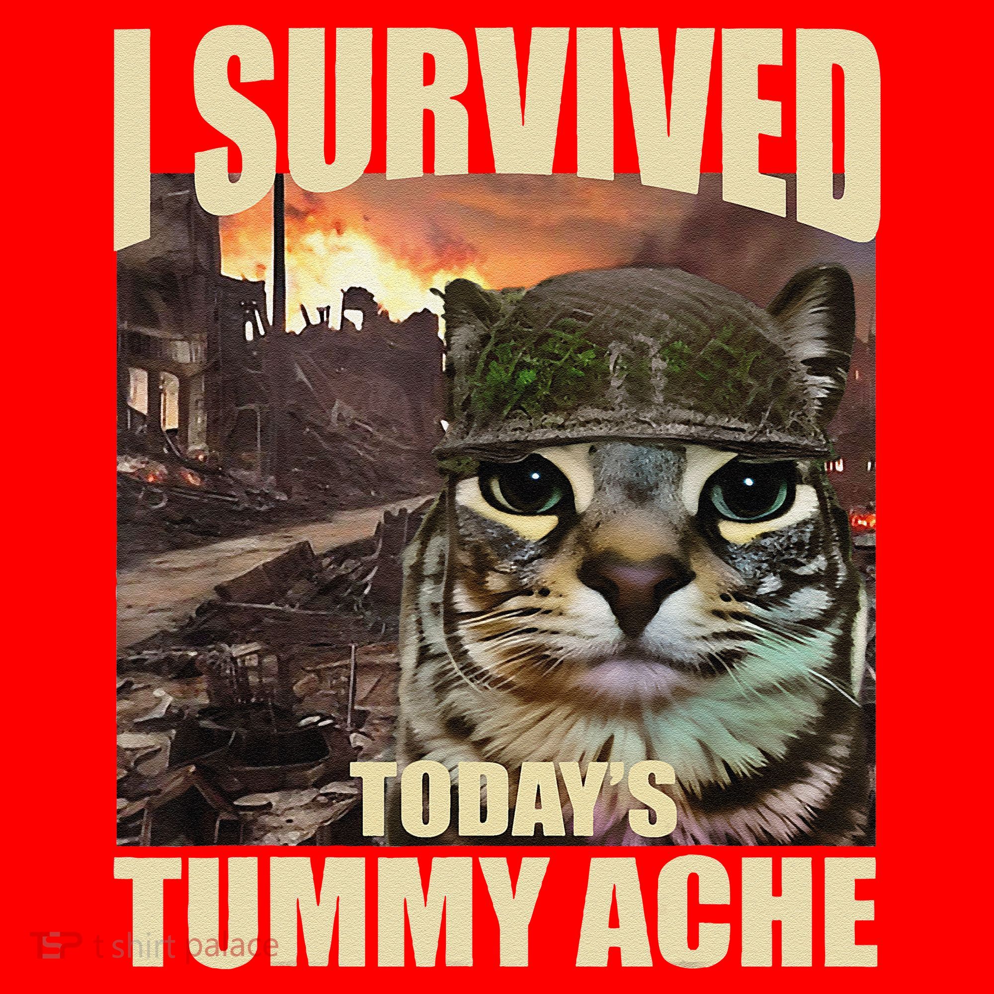 I Survived TodayS Tummy Ache Groovy Funny Cat Santa Hat