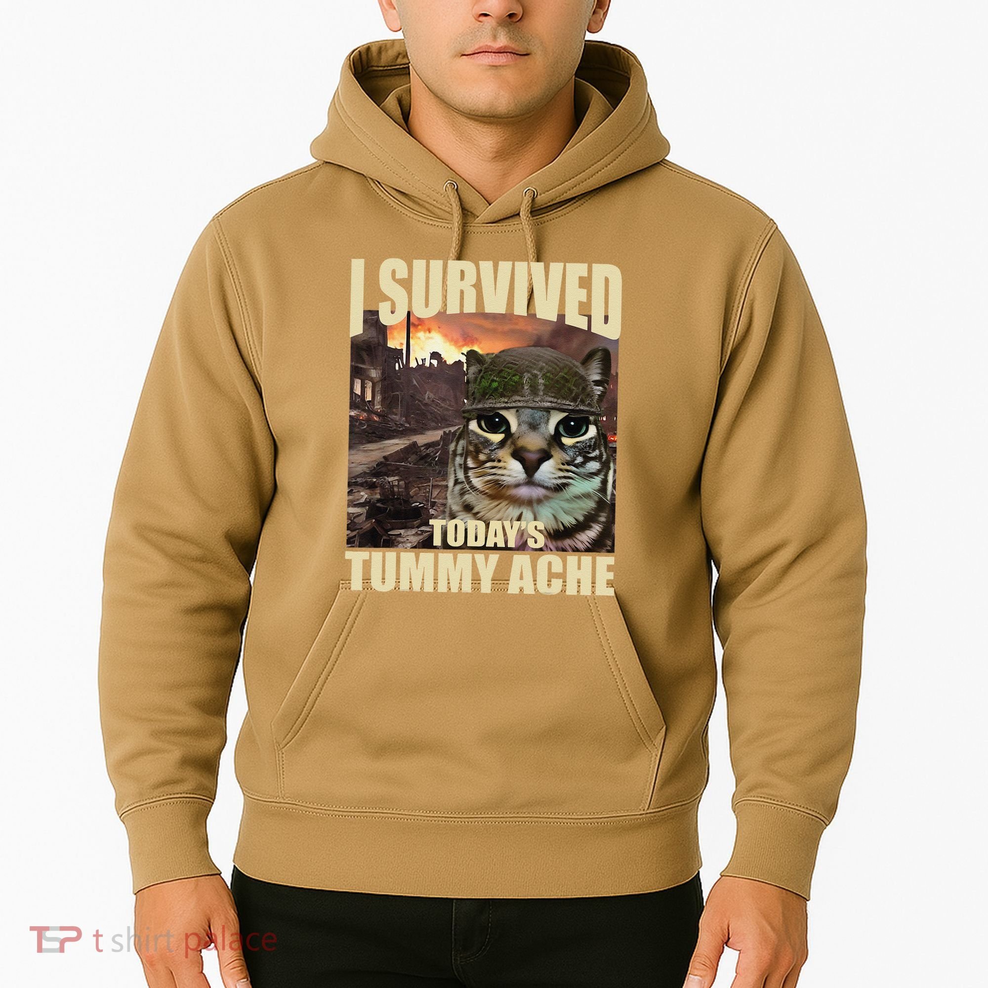 I Survived TodayS Tummy Ache Groovy Funny Cat Hoodie