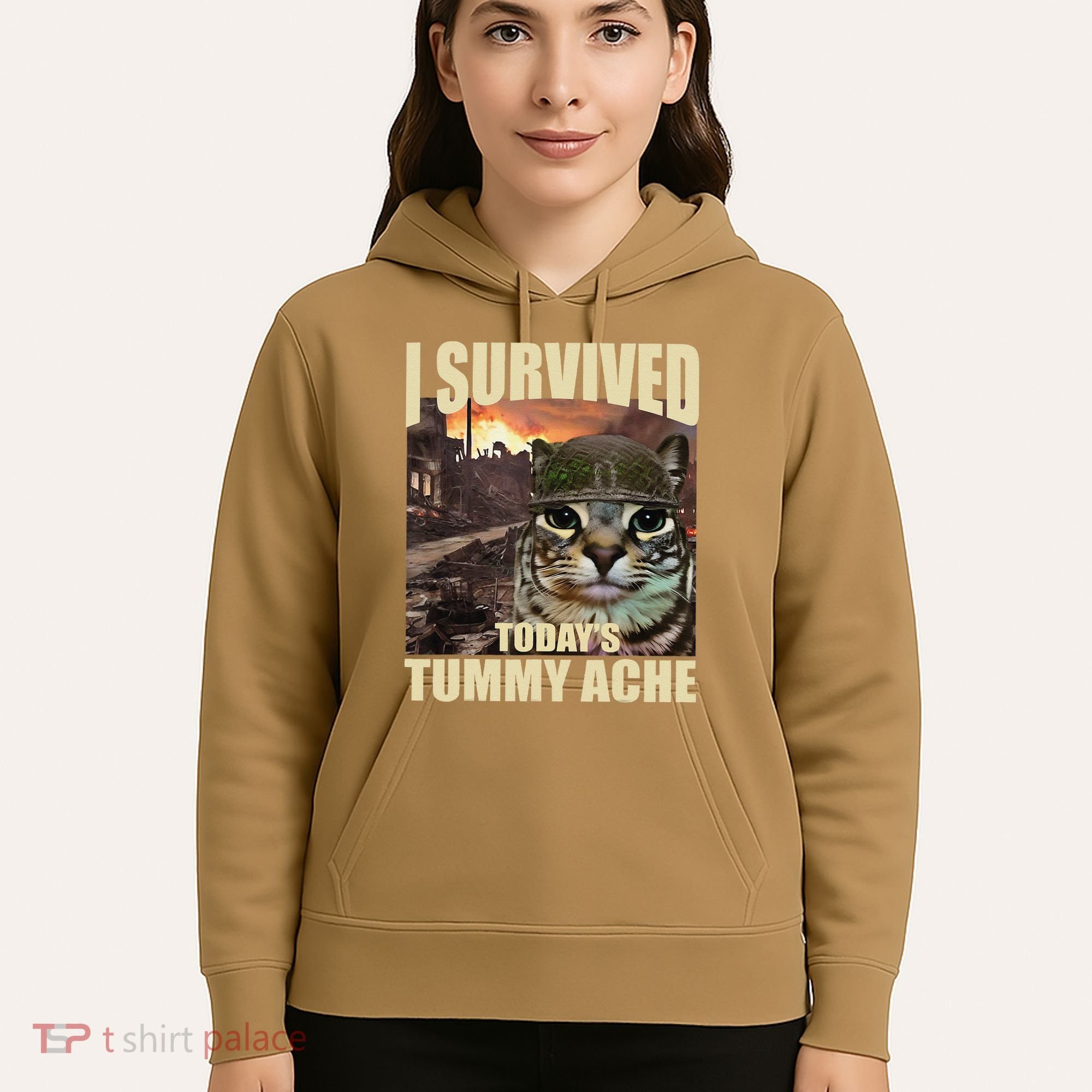 I Survived TodayS Tummy Ache Groovy Funny Cat Hoodie