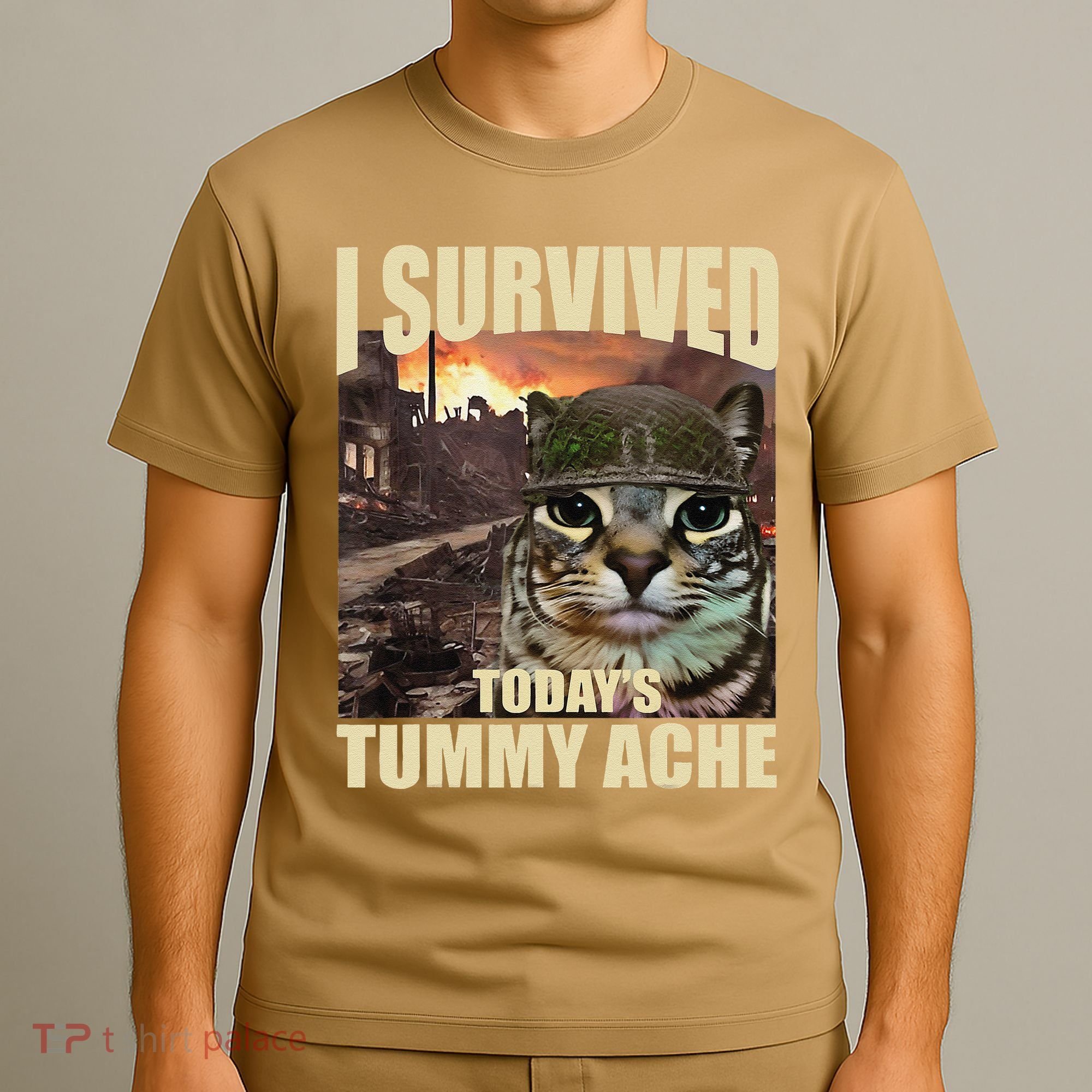I Survived TodayS Tummy Ache Groovy Funny Cat T-Shirt