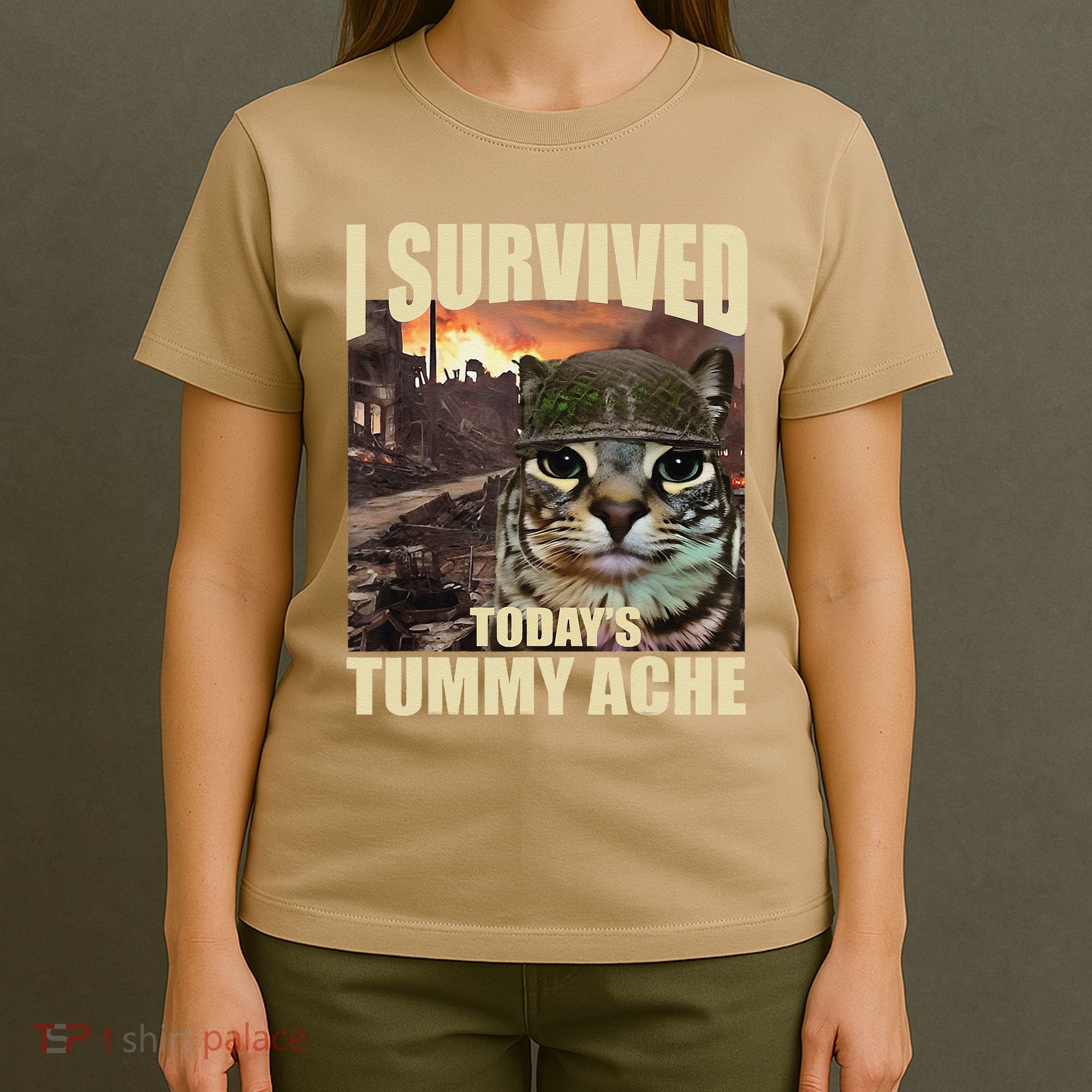 I Survived TodayS Tummy Ache Groovy Funny Cat T-Shirt