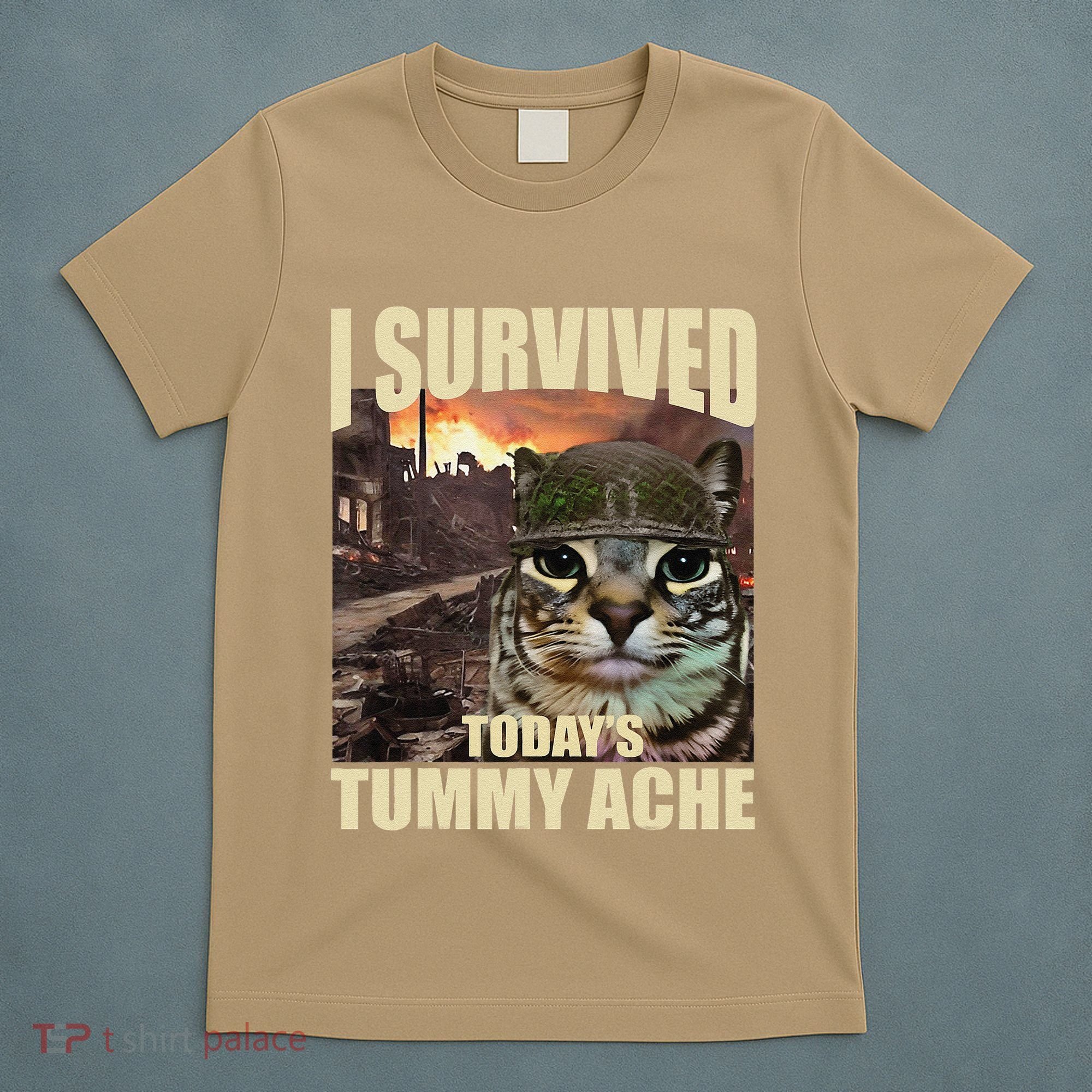 I Survived TodayS Tummy Ache Groovy Funny Cat T-Shirt